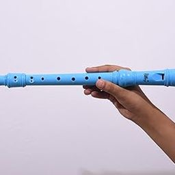 Blueberry R-51 Descant Soprano Recorder German style C Key 8 Holes Music Recorder Instrument Suitable for School Ensembles | Home Practice | Music Classes Flute Kids Recorder With Cleaning Rod (BLUE)-image-13