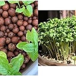 OhhSome Clay Balls (15 Kg Approx 45-50 Litre) Clay Balls Light Expanded Clay Aggregate (Fly Ash) for Aquarium/Hydroponics/(15 Kg Approx 45-50 Litre) &Exotic Herb Seeds - Poor Man'S Pepper KitchenPack-picture-11