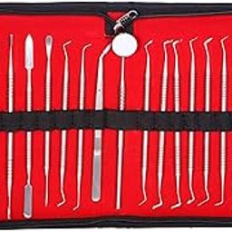 Greta Dental Conservative Instrument Kit of 20 Instruments | Dental Scaler | Dental Kit | Dental Mirror | Conservative Dental Insretments Set (20_Pcs_Conservative_Kit)-image-20