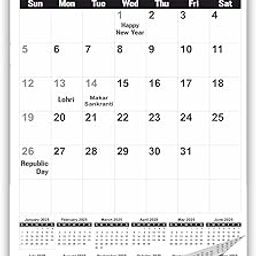 AccuPrints 2025 Wall Hanging Calendar and Planner (12 x 18 inches) Paper -130 gsm-22