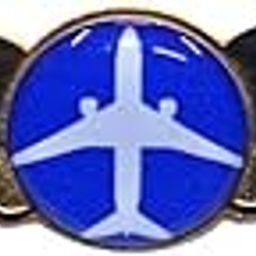 Pilot18 Blue Aircraft Premium Uniform Wings Gold Electro-Plated Badge for Pilots-image-48