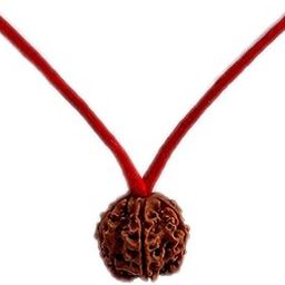 Lab Certified 4 Mukhi Rudraksha Original & Real Natural 4 Face Rudraksha Beads Dhaga Locket Man and Women-18