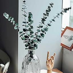 Homesake 6 Pcs Preserved Dried Eucalyptus Stems, 17" Natural Branches for Shower Hanging, Real Dried Flowers for Vase Filler, Fresh Eucalyptus Leaves, Garland, Wedding, DIY (Green-6Pcs)-6