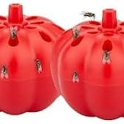 ATETO Fruit Fly Trap Vietnam Fruit Fly Trap Gnat Killer for Indoor, Gnat Trap for Kitchen Home, Fruit Fly Catcher (Pack of 2).-image-21
