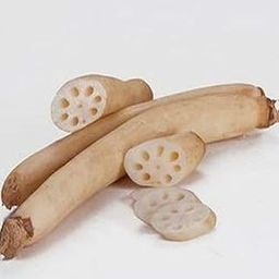 Aapkidukan Dried Lotus Stems / Kamal Dandi / Kakdi (Thamarai Thandu), 500 GM-picture-15