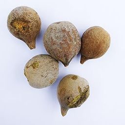RK Seeds - Terminalia bellirica,Bahera,Baheda, Belliric Myrobalan, Bastard myrobalan, Beach almond, Behada, Vibhitaka,Terminalia, Terminalia,Terminalia Bellirica - Pack of 100 g-image-98