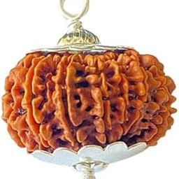 14 Mukhi Rudraksh Original Certified 14 Face Rudraksha Nepal with Pendant 21mm भगवान शिव और बजरंगबली का आशीर्वाद 14 मुखी रुद्राक्ष 14 Faced Rudraksh-18