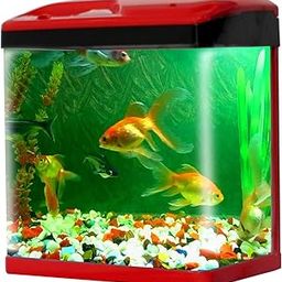 JAINSONS PET PRODUCTS Fish Aquarium Small Tank-15 LTR (Colour May Vary) Desktop Aquarium Tank with LED and Filter Tank Size- 12X10.5X7 Inches (Model SOBO-300)-image-3