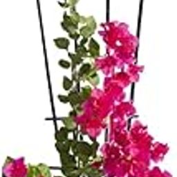 GARDEN KING 60cm Plant Supporters/Trellis for Plant Support, Metal Rust-Resistant Structure for Indoor and Outdoor Gardening (Colo- Black, Set of 1Pc)-image-40