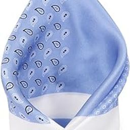 Men Blue Print Formal Pocket Square-picture-25