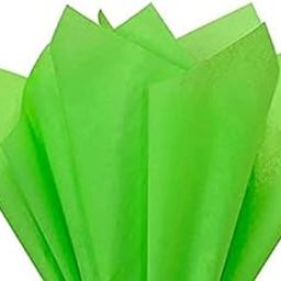 3A Featuretail Tissue Paper/Non Woven Fabric for Gift/Flowers Making and Bouquet Wrapping 24 Inch x 28 Inch (Green Tissue, 15 Sheets)-image-10