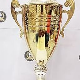 Trophy Golden Plain Metal Cup Fiber-picture-25