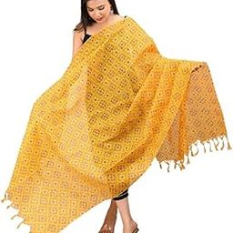 Beautiful Patola print Kota Doria Dupatta with Fringed edges for Regular Wear-13-picture-55