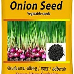 Iagrifarm Onion Vegetable Seeds - 1500 Seeds forTerrace and Home Gardening-image-55