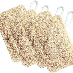 Allure Natural Loofha Rectangle (R-Natural loofha, 4, count)-image-21