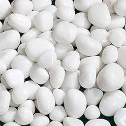 ROYAL SAPPHIRE White Pebbles Large Size Glossy Stone 2kg-image-26