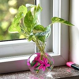 MITHILA HANDICRAFTS Round Glass Vase | for Money Plant | Lucky Bamboo Plant | Flower Pot | 12X10 cm Elegant Flower Designed Vase | Clear-image-4