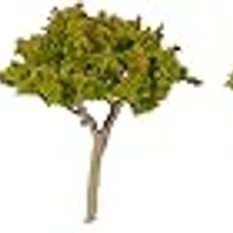 mjmodels architectural miniature tree (80 mm, pack of 5)-Multi color-16