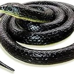 WAAOME® (Pack of 1) Black Snake Toy Realistic Rubber Snakes Prank Toys & Gifts, Magic Shows Toy Snake for Kids, Black Color Fake Snake Toys for Garden (AB80)-22