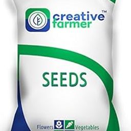 Creative Farmer Bonsai Suitable Seeds Easy To Grow - Best Combo 8 Types-image-5