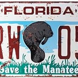Eazywagon Florida HRW 051 Multipurpose Metal Signs - License Wall Plate, Decorative Car Tag - Ideal for Cafe, Restaurant, Shop, Home, Hotel, Club, Office, Living Area-image-87