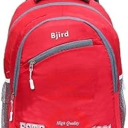 SINH ENTERPRISES 30 litres School Laptop Bag/Rucksack Backpack for Luggage Journey Trekking Hiking Bags for Men Women Boys and Girls-image-17