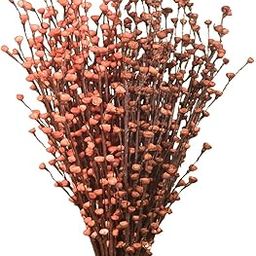 CRAFTWAFT Handcrafted Natural Long Choco Brown & Orange Poppy Floral Sticks Bunches-image-2