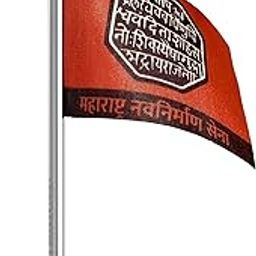 The Flag Corporation MNS Maharashtra Navnirman Sena Car Dashboard Flag 2in x 3in with A Plastic Liquid Chrome Base-image-20