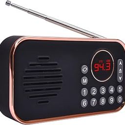 Pagaria Pocket FM Radio, 5 Watts with Bluetooth/USB/TF, Type C Charging, Earphone, Rechargeable, Model: WALKIE (Black)-27