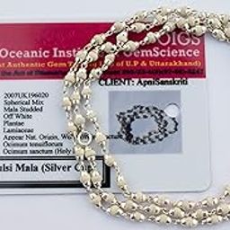 Apnisanskriti Lab Certified 55 Beads White Tulsi Mala in Pure Silver Caps | Natural White Tulsi Beads (Zero Size,Pure Silver) - Pack of 1-image-5