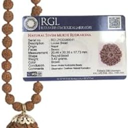 Ekatmane Seven(7) Mukhi Nepali Rudraksha Bead in 5 Mukhi Rudraksha Mala with Lab Certificate | For men and women-picture-15
