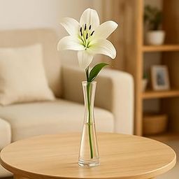 ecofynd Glass Vase for Flowers Plants, Modern Decorative Vase for Home Decor Center Table, Bedroom, Living Room, Office Decoration, Wedding or Gifts, Luster Glass Vase, (GVASE016)-image-21
