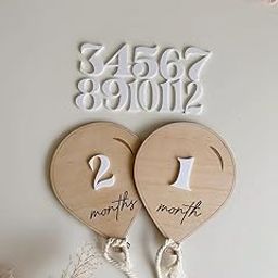 Month Air Balloon Wooden Baby Milestone, Boho Baby Milestone, Milestone Props for Babies Photo, Monthly Baby Milestone Marker, Baby Growth.Teddy NOT Included-24