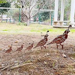 5PCS Rusty Quail Family Decorative Garden Stakes, Metal Birds Yard Decor, Bird Lover Gifts for Women Mom Grandma Wife, Metal Birds Statues Garden Sculptures and Yard Art, Patio, Lawn Ornaments-image-22