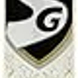 SG Cobra Gold Kashmir Willow Cricket Bat (Color May Vary)-image-35