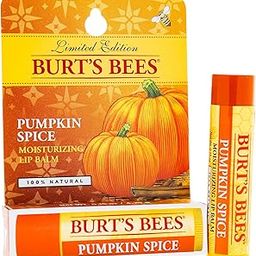 Burt's Bees Limited Edition Pumpkin Spice Lip Balm-picture-56