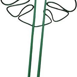 Enakshi (LABEL) Creations Monstera Shaped Plant Support Ring Plant Trellis for Backyard Indoor OutdoorHome & Garden|Yard Garden & Outdoor Living|Gardening Supplies|Plant Care Soil & Accessories|Plant-image-94