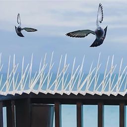 Essoti (Pack of 10) Transparent Bird & Pigeon Spikes for AC, Balcony, Railing, Window - Anti-Bird Protection-29