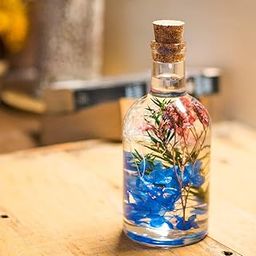 myBageecha- Enchanting Fresco Preserved Tabletop Natural Long Lasting Flower Indoor Home Decor Ecofriendly Sustainable Gift Glass 17.5cm x 7cm-4