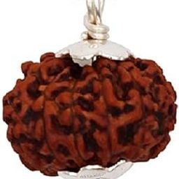 BluDiamond 8 Mukhi Rudraksha Pendent 19mm 8 Face Rudraksh Original Certified Eight Face Rudraksha Ashta Aath Mukhe Rudraksa Round 8 मुखी रुद्राक्ष ओरिजिनल नेपाल आठ मुखी रुद्राक्ष for Meditation-image-89