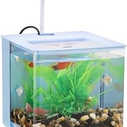 PET FUN BL-06 Compact Acrylic Fish Aquarium Tank with Internal Back Filter and USB Leafy LED Light | 2.5L Mini Fish Tank for Home & Office Desktop (Color May Vary)-image-61