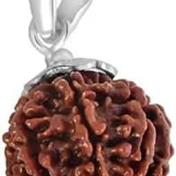 7 Mukhi Rudraksha Original Certified Blessed By Lord Shiva Saat Mukhi Rudraksh 7 Mukhi Rudraksha Nepali With Silver Capping 7 Face Rudraksha Pendant for Men Women-picture-2