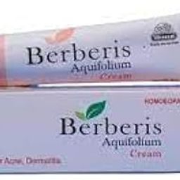Wheezal Berberis Aqu Cream 25g Pack of 2-14