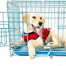 Midwest Cage House for New Born Puppies, Small Cats Kittens, Hamsters, Rabbits, Guinea Pigs Kennel & Travel Carrier Single Door Heavy Duty Folding Metal Cage 18 Inch (45 * 40 * 30 cm)-image-32