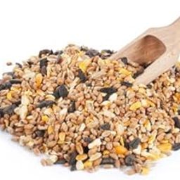 Premium Wild Bird Food Mix, 250g, Natural Seed Blend for Parrots, Sparrows, Doves with Sunflower, Pumpkin Seeds-image-56