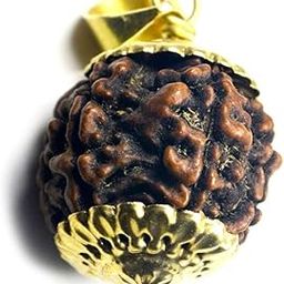 Lab Certified Genuine 5 Face Five Mukhi Round Rudraksha Pendant Gold Plated Rudraksh Locket-27