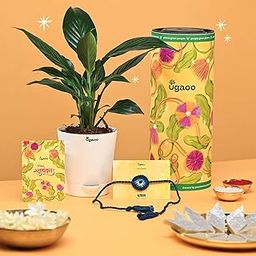 UGAOO Peace Lily in Self Watering Pot with Card & Plantable Seed Rakhi – Eco-Friendly Rakhi Gift for Brother | Raksha Bandhan Gift Combo-image-2