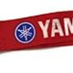 ALTRONA Yamahhaa Keychain Keyring for Yamahhaa R15/FZ/RX100/Facino/zRay Bike,Scooty Keyring(Red)-image-67