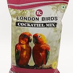 LONDON BIRDS 100% Natural Bird Food for Bird High Energy Seed Blend (500 g, Cocatiel Mix)-picture-23