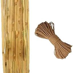 Bamboo Plant Support Stakes with Jute Rope, 67 cm Height, 26.4 inch Garden Stakes for Money Plant and Climbing Saplings (Packet of 20 Piece)-image-32